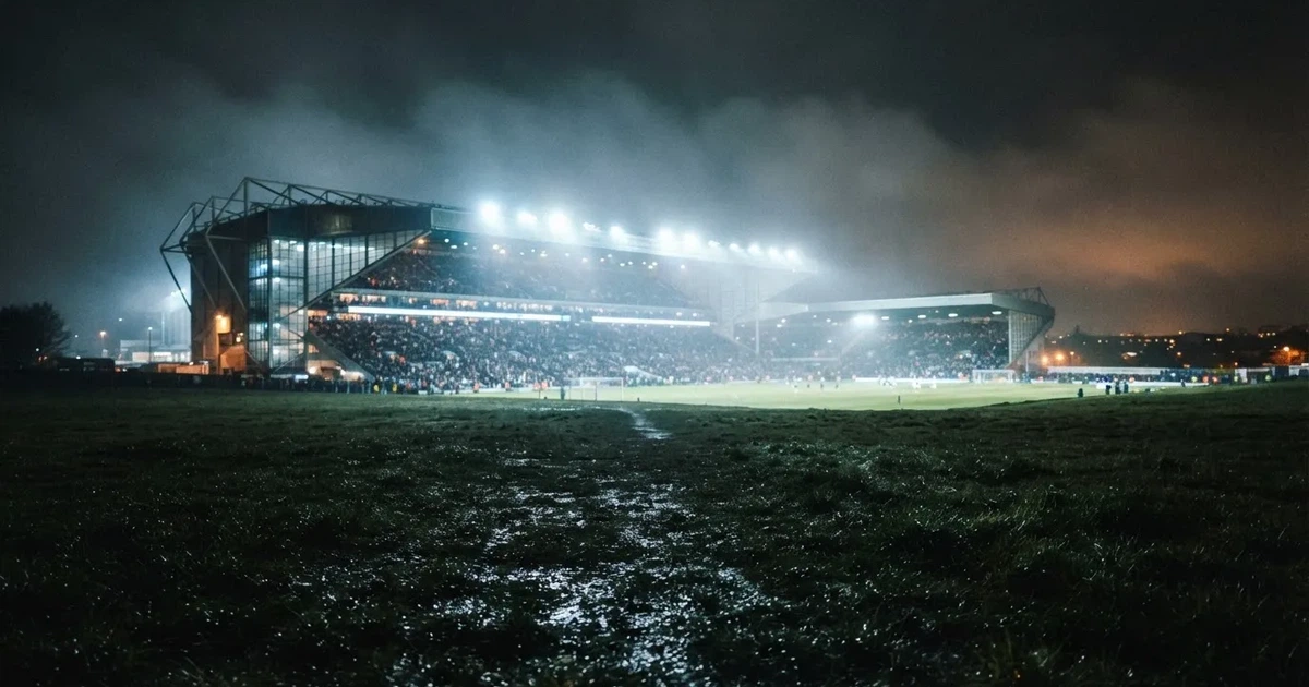 Ein Stadion unter Flutlicht, aus großer Entfernung über eine dunkle Wiese fotografiert, am Himmel zieht Nebel auf.