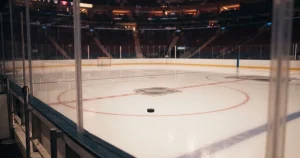NHL Wetten Online 2026 – Anbieter, Regeln, Kosten