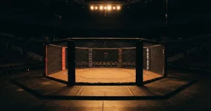 UFC Wetten 2026 – Whitelist, Quoten, Buchmacher im Vergleich